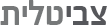 צבי טלית – מומחה וורדפרס לוגו